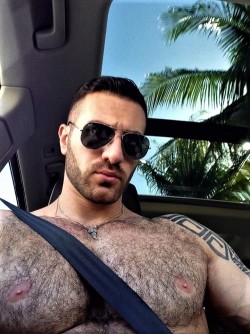 thebearunderground:  The Bear Underground - best in masculine hairy men With over 60,000+ posts and 27,000+ followers 