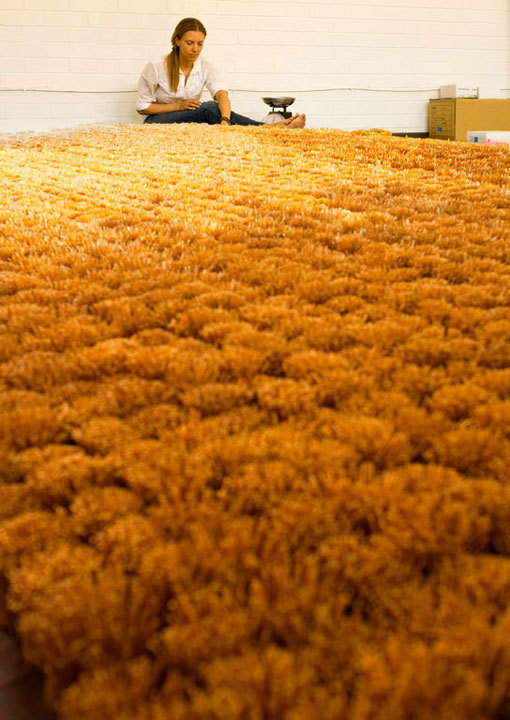 andrew-neil-parr:  &lsquo;Gather (One Million)&rsquo;Glass beads, stainless