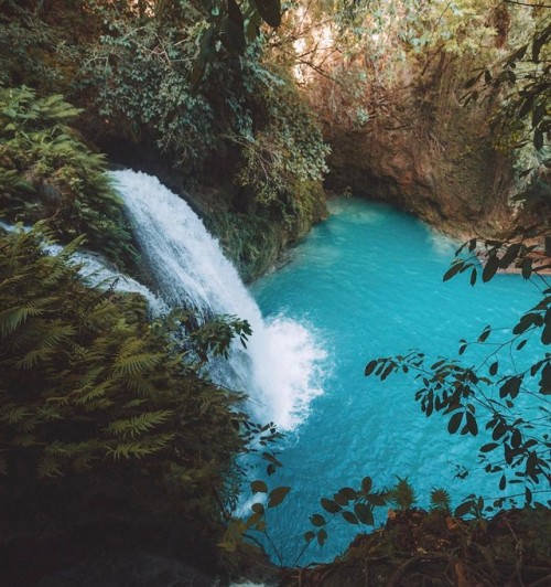 paradisetogo: source : gypsea_lust