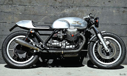 habermannandsons:  Guzzi 