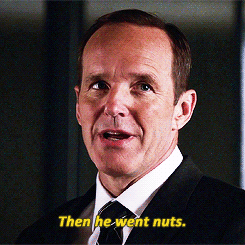 Agentsoffandoms