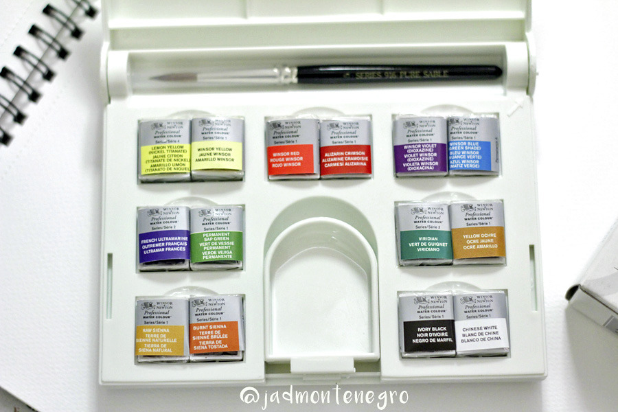 Winsor & Newton Professional Watercolor Review & Comparison  Winsor and  newton watercolor, The frugal crafter, Watercolor pans