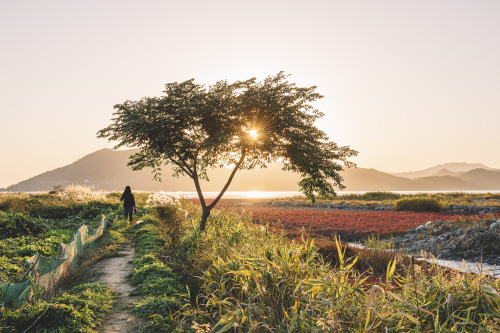 2013-10-12 Waon Beach, Republic of KoreaNikon D4 + AF-S NIKKOR 24-70mm F2.8G EDInstagram  |  hwantas