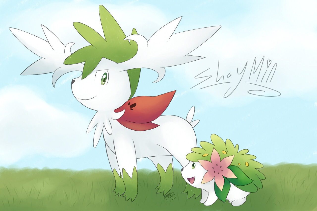 images Cute Shaymin Sky Form shaymin land forme explore tumblr