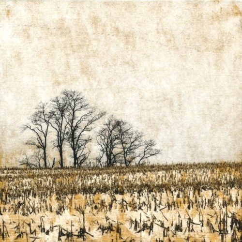 furtho:Brady Wilks Guardians Of A Winter Sky (via here)