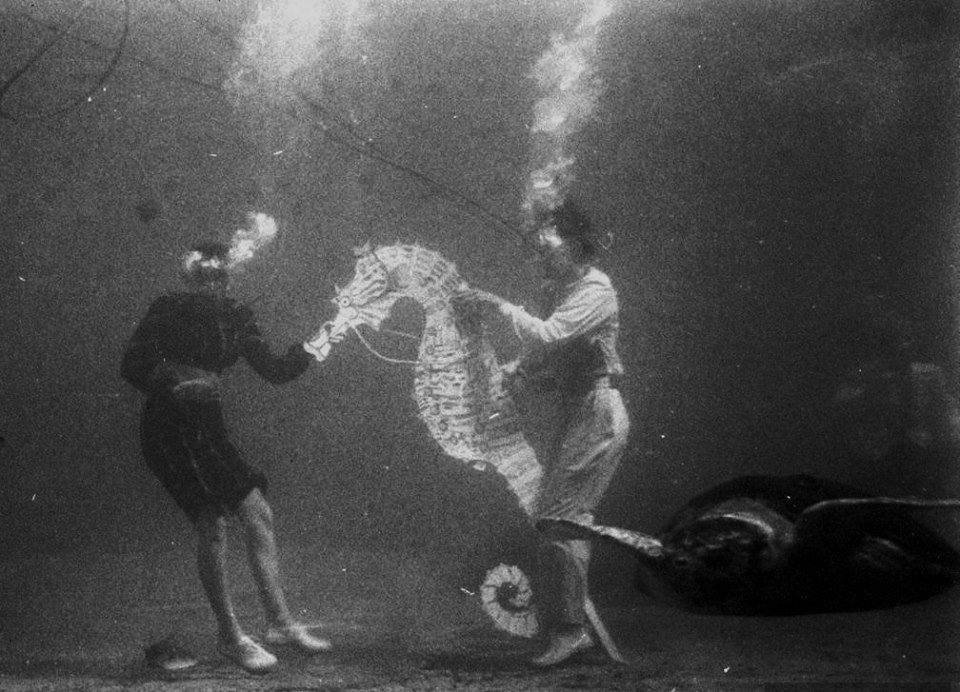 hauntedbystorytelling: Sam Shere :: Rehearsals for an Underwater Show, Weeki Waachee