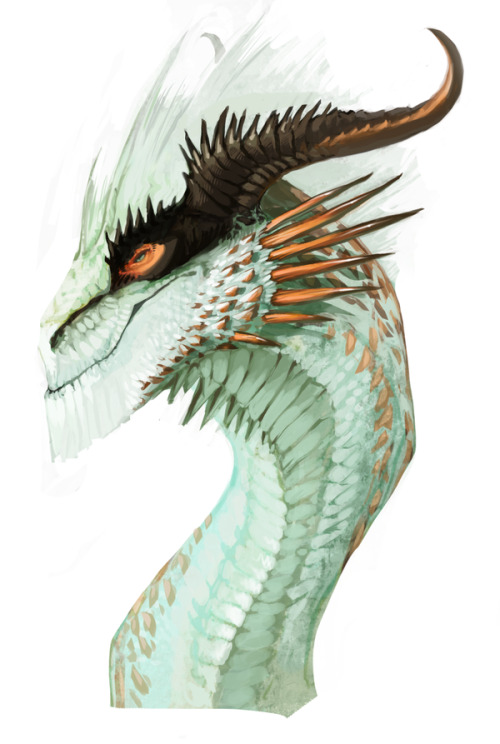 jellyfishjulie: I think we can all just agree that dragons are pretty cool…But dragon designs