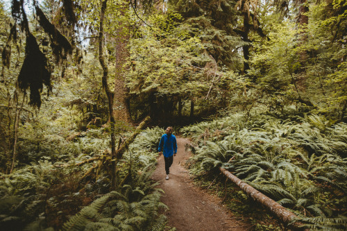 Day 10Pacific Northwest 2016