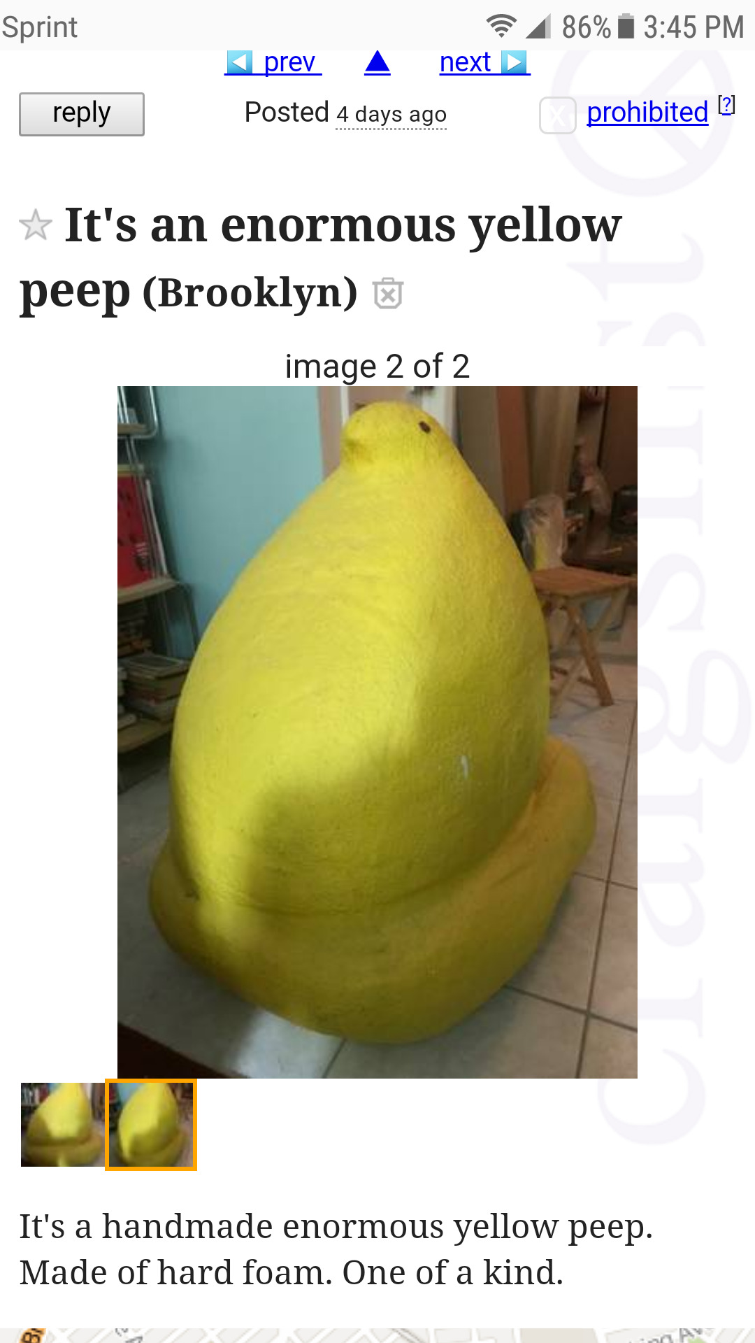 slimeweeb:  shiftythrifting: The free section on Craigslist is wild. 