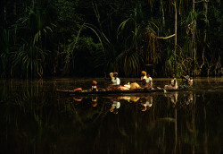 ouilavie:  Bruno Barbey. Nigeria. Warri region. Niger river delta. 1977.