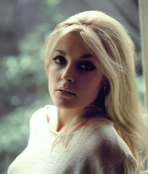 lily-laurent:Sharon Tate photographed at her apartment in London, 1965