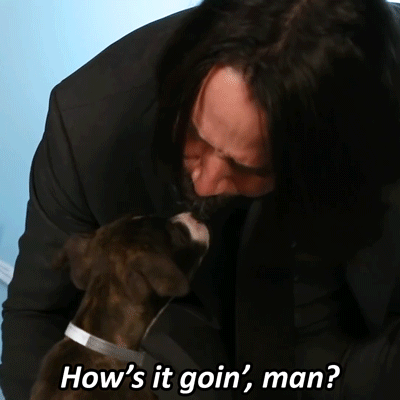 pajamasecrets: Keanu Reeves playing with puppies!