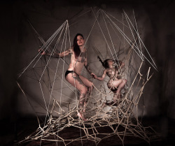 theropediary:  Images from an awesome installation project I was part of!  11/15/18Rope Installation/suspension/photo: Marceline_VQ with help from LexaGrace and AnyaDemure (me!)String installation and hook suspension: Orb and Emily Scanlan Hook Bottom: