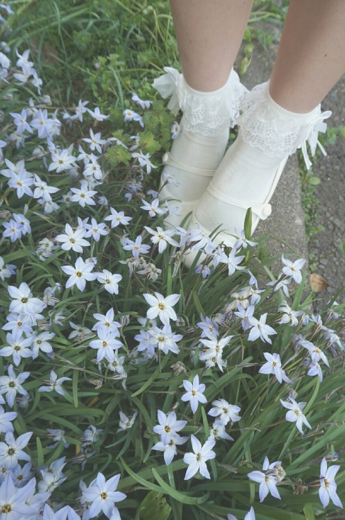 XXX yuki-teddy:  Perfect shoes for this flower photo