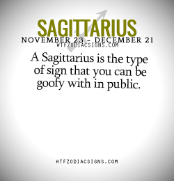 wtfzodiacsigns:  A Sagittarius is the type