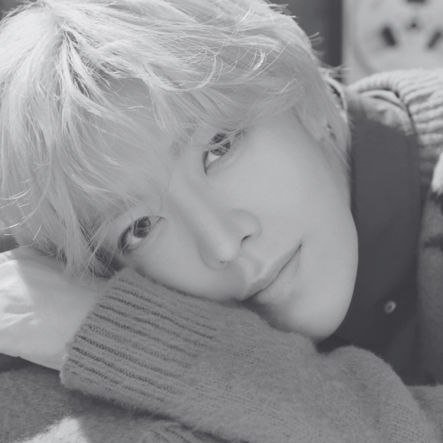 . . Yuta Layouts