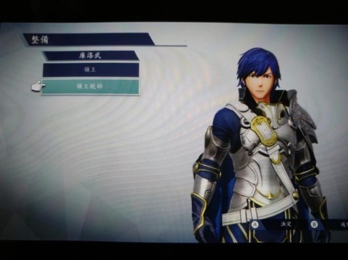 All Fire Emblem Awakening character promotions in WarriorsBride Lucina is dlc and a costume for Luci