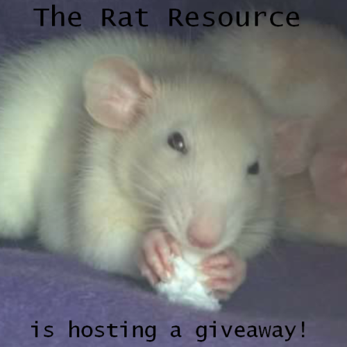 The Rat Resource is hosting a giveaway! That&rsquo;s right, everyone! I just noticed that we hav