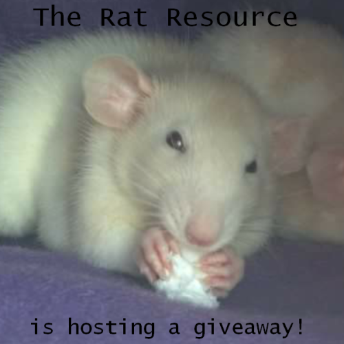 REMINDER!!!The Rat Resource is hosting a giveaway!That&rsquo;s right, everyone! I just noticed that 