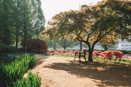 2022-05-05Picnic in the woodsCanon EOS R3 + RF15-35mm f2.8L ISInstagram  |  hwantastic79vivid