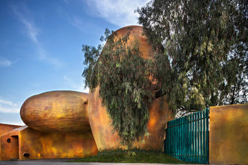 Tree House, Celaya, Guanajuato, Mexico Javier Senosiain Design