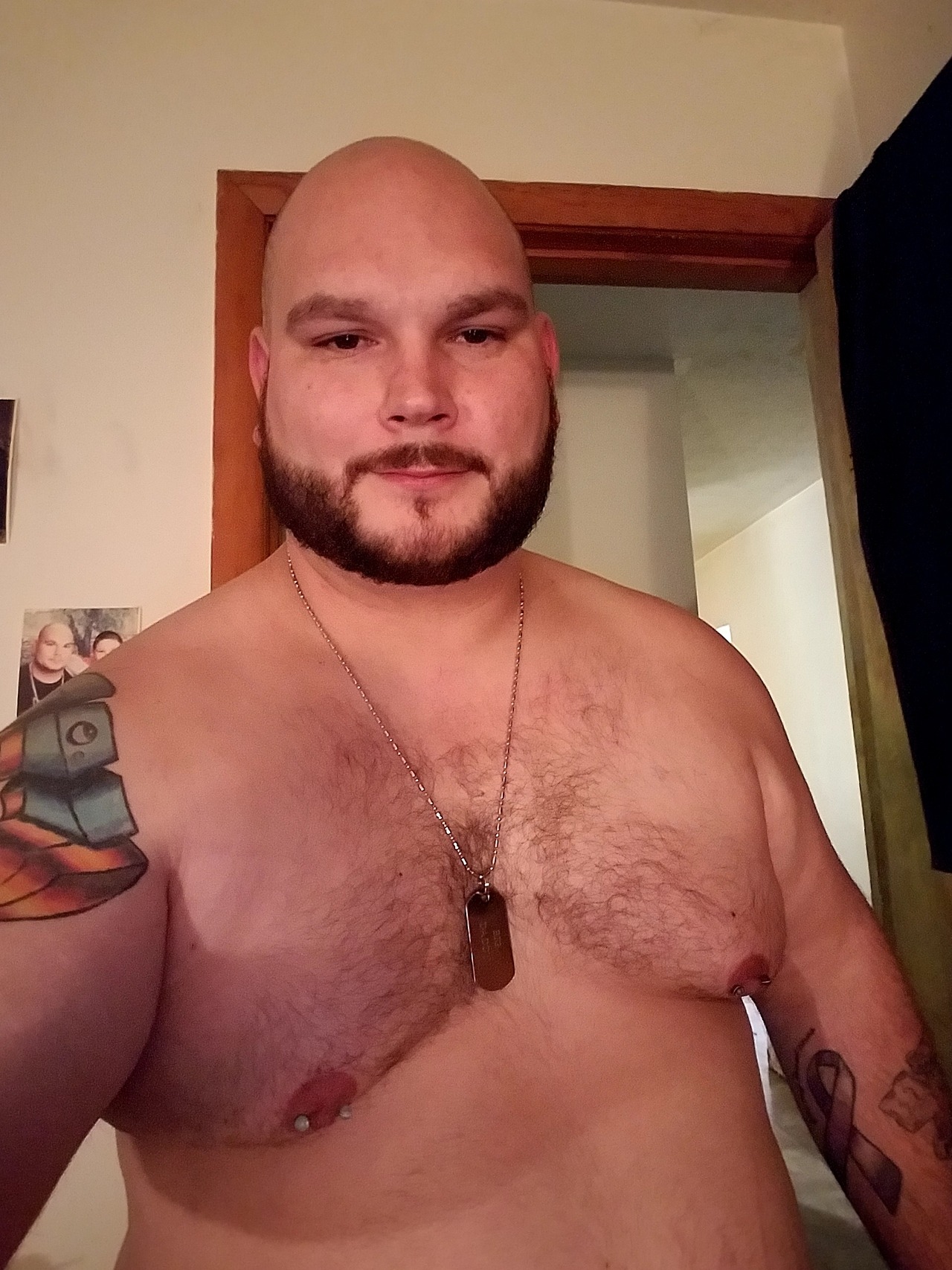 The Underwear Bear