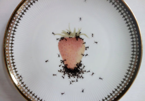 asylum-art:  Porcelain pieces that are infested with hand-painted ants by artistLa Philie  on Etsy German artist Evelyn Bracklow of La Philie decided to combine the elegance of vintage porcelain with the grossness of a horde of ants in a series she calls