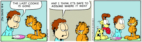 silentgarfield:  Stolen cookie
