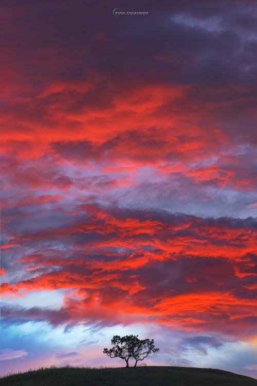 Porn Pics te5seract:  Sky on Fire by  Ryan Engstrom