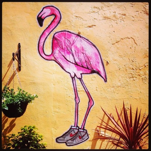 #flamingo in #nike #vandals #sneakers #sneakerfreaks #sneakerpimps #trainers #illustration #pasteup #streetart #sneaks #oldschool #oldskool #bird #rspb