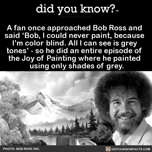 did-you-kno:A fan once approached Bob Ross and   said ‘Bob, I could never paint,