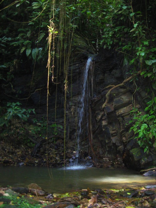 trailpace:Waterfalls of Saut D'eau