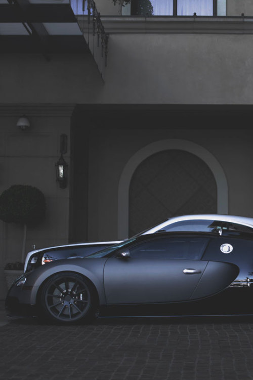 thelavishsociety:Veyron by Nick Kreskai | LVSH
