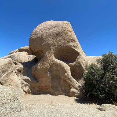 #joshuatree (at Skull Rock) https://www.instagram.com/p/CBs9RhWpALt/?igshid=1dtjgcxmx6inf