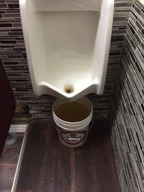 evilshitpig666: STEAL THAT BUCKET. GO HOME AND PRESSURE FILL AN ENEMA PAGE WITH THE STALE, STIN