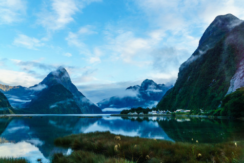 breathtakingdestinations: Milford Sound - New Zealand (by Philip N Young) 