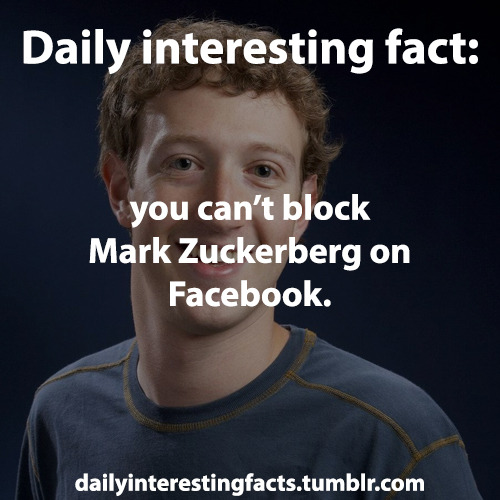 dailyinterestingfacts:  See more interesting facts here! (Source)