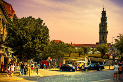 socialfoto:  Torre dos Clérigos, Porto by