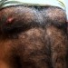 awesomefurvert:cabin12silverbear:hairy-man-lovers:So much fur, where to start!!He’d so get it