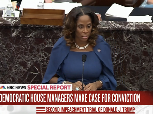 texnessa:Stacey Plaskett turned Impeachment Part Deux into a scene from the fucking Hunger Games.Her