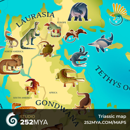 Its Mesozoic siblings get a lot more attention, but the Triassic is here to put its place on the map