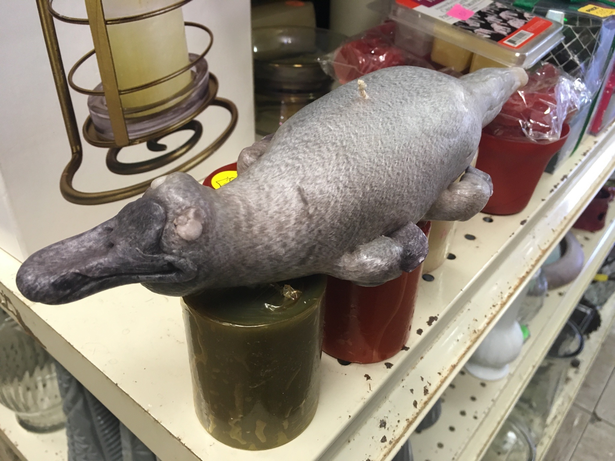 Porn shiftythrifting:Platypus (?) candle. There photos