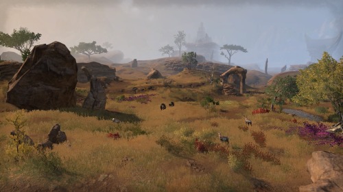 Northern Elsweyr 