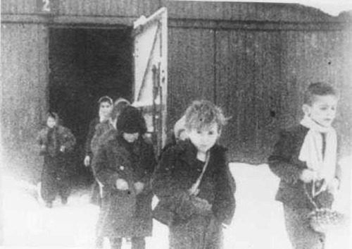 Today Is International Holocaust Remembrance Day.