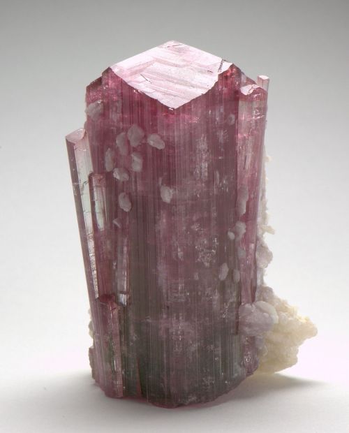 Tourmaline with Cookeite and Lepidolite - Paprok Mine, Kamdesh District, Nuristan Province,  Afghani