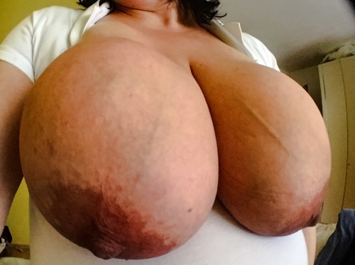 freebigmelons:  