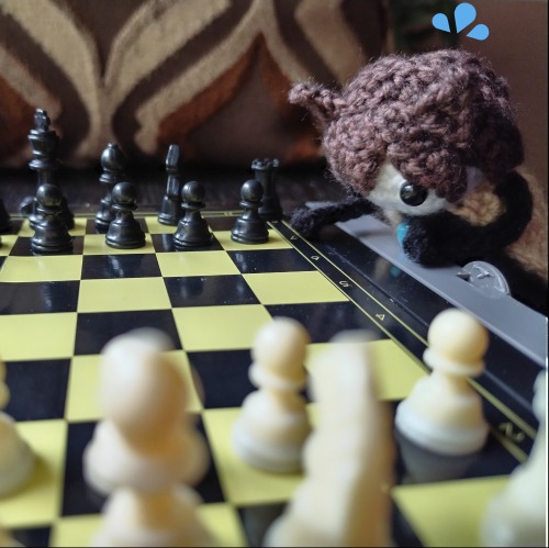 Alright, Tinyzai, Time For Some Enrichment! How About A Game Of Chess?