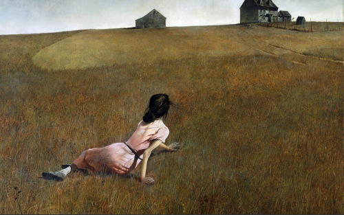 trophywivesclub: &ldquo;Christina’s World&rdquo;, Andrew Wyeth &ldquo;Butterfly&am