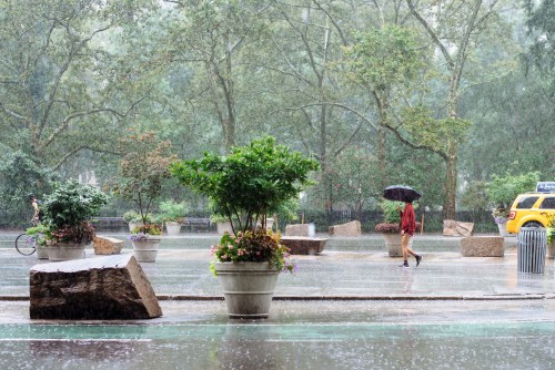 Gorgeous rainy day in NYC yesterday.© Katelyn Perry