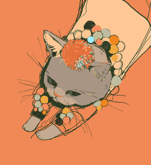 holly-warbs:pom pom cat